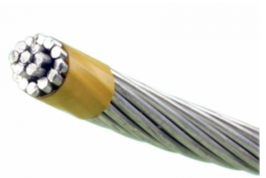 AAC Conductor AAC Conductor